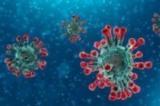 Coronavirus COVID-19: point de situation en Lozère