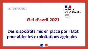 Gel d'avril 2021 : un dispositif supplémentaire en soutien aux exploitations agricoles