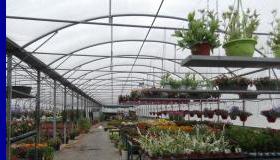 Mesure de soutien aux horticulteurs 